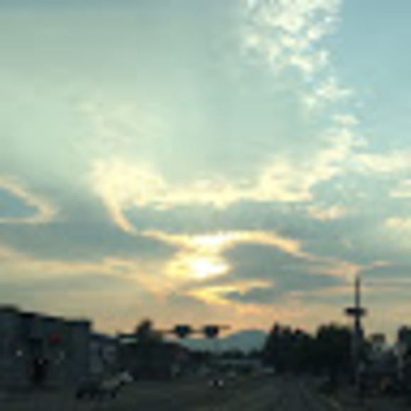 Meet your Posher, Megan - Picture 1 of 1